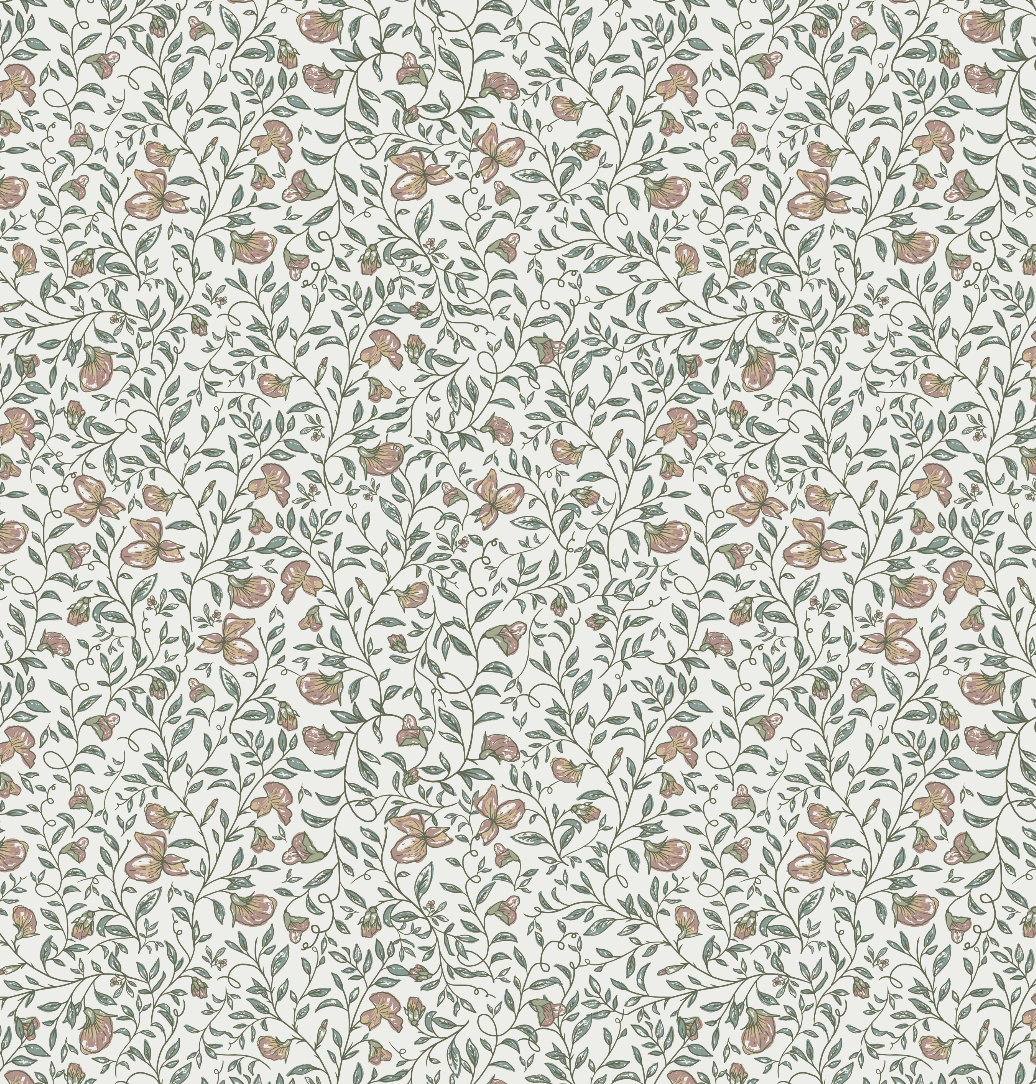 Edelweiss Wallpaper
